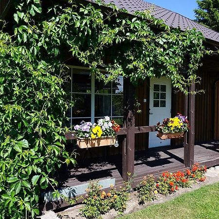 Kelluka Holiday House Pärispea Εξωτερικό φωτογραφία