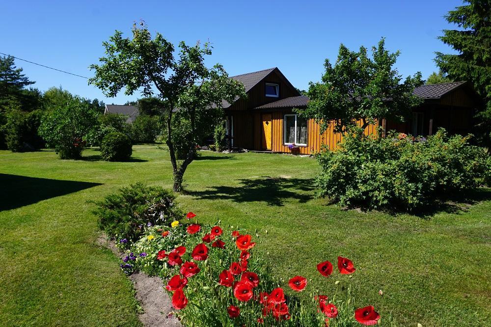 Kelluka Holiday House Pärispea Εξωτερικό φωτογραφία